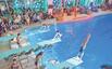 Bild: Aller guten Dinge sind drei: Die Leipziger Wasserspringer sorgen mit ihren Darbietungen zur Show "Willkommen im Weihnachtszirkus" in der Uni-Schwimmhalle für beste Unter­haltung.